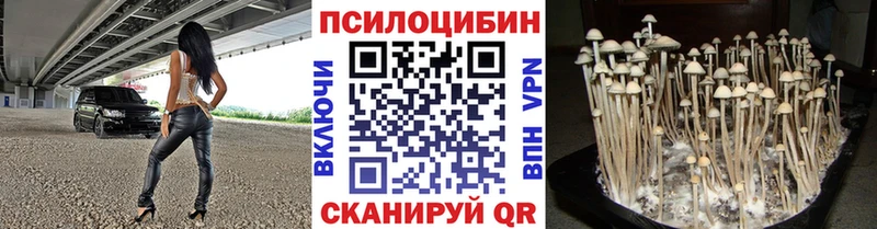 Псилоцибиновые грибы Cubensis  дарнет шоп  Орехово-Зуево 